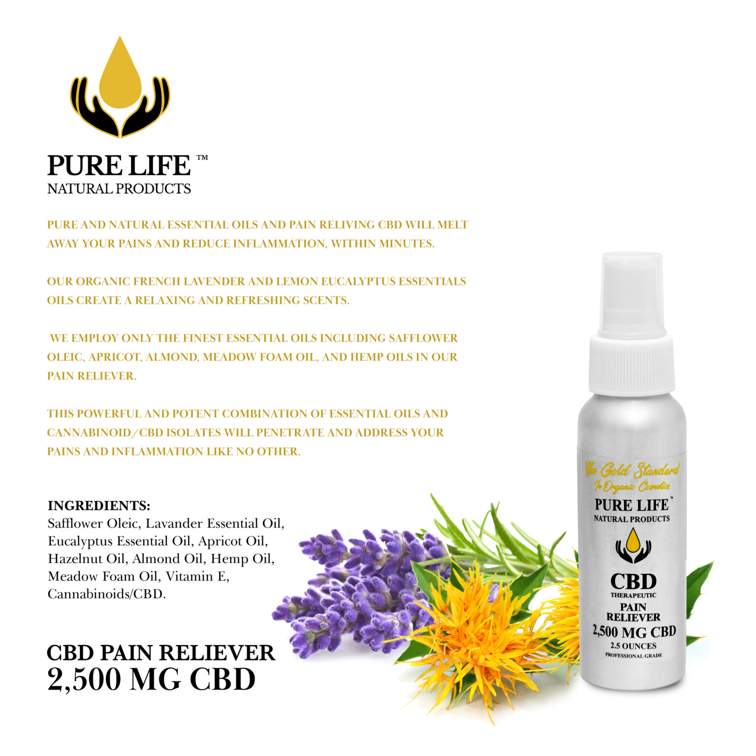Pure Life Natural Products CBD Therapeutic Pain Reliever 2.5 OZ / 2,500